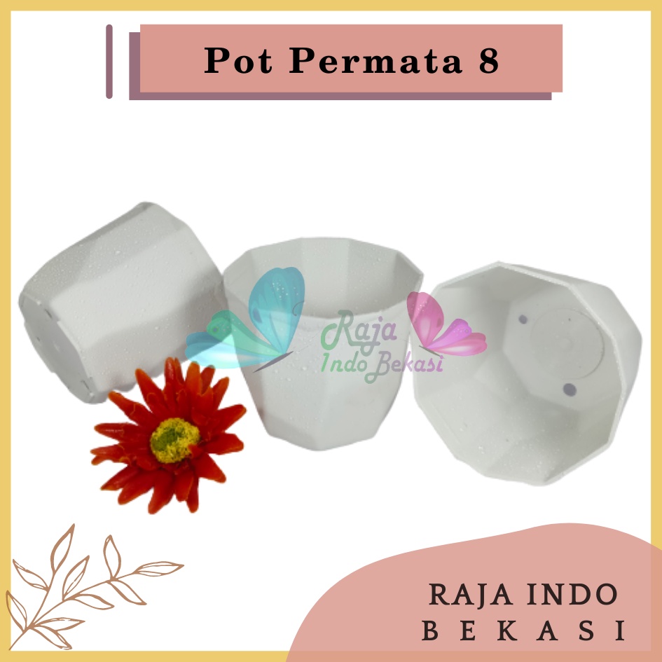 Pot Permata 8CM Putih By Garden Of Love Pot 8 Cm Putih Pot Plastik Kaktus Mini Lucu Murah Grosir