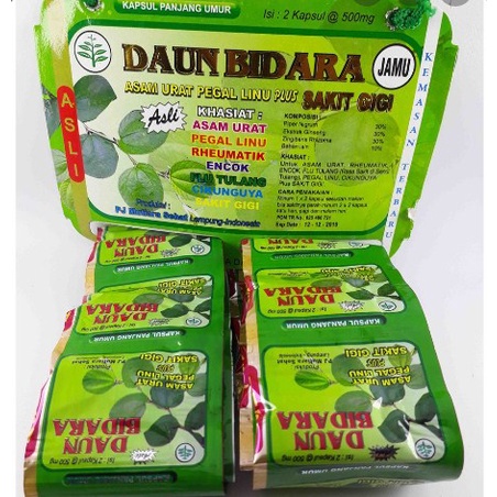 Kapsul Daun Bidara Renceng Original