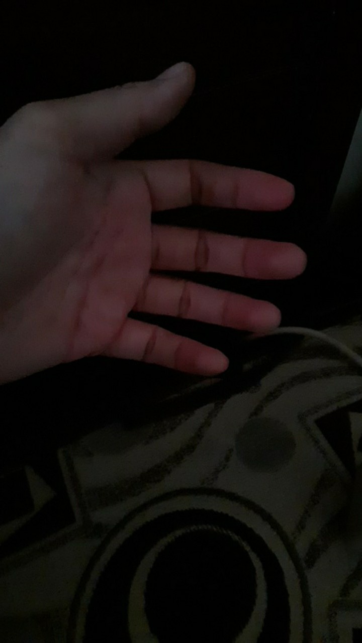 Kapi Cat Set | Pisau Dempul Set | Slipper Dempul Set 4pcs Stainless