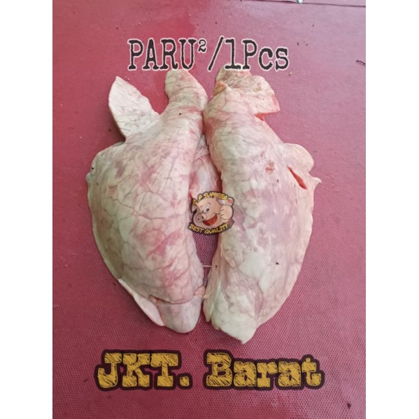 

PARU.PARU.BABI