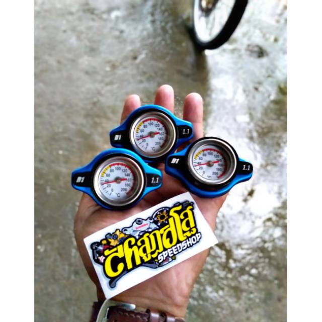 Tutup radiator suhu D1