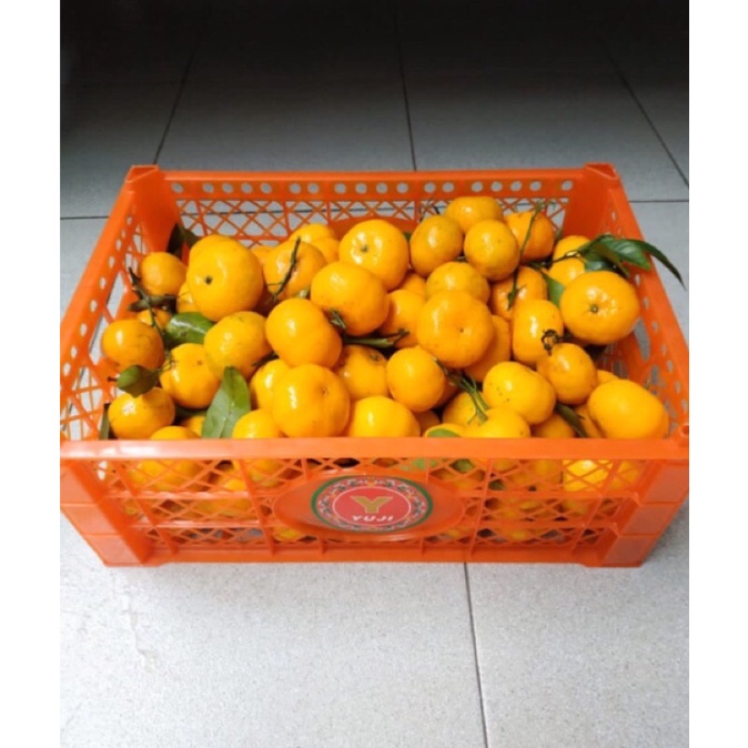 

Jeruk Shantang Daun Yuji (6.5 Kg) Fresh Import