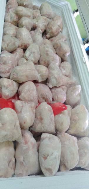 

Ayam karkas Frozen broiler 0.8 ons up..