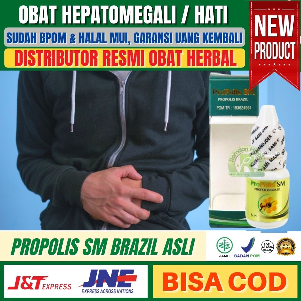 Obat Hepatomegali Kesehatan Organ Hati Pembengkakan Hati Liver Pembesaran Hati Aman Di konsumsi Anak