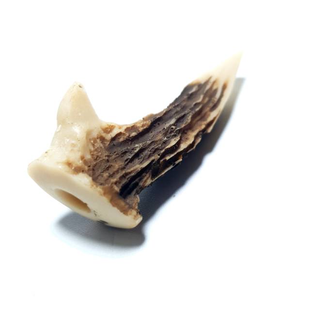 Pipa rokok model tanduk rusa rasa gurih dan nikmat - Tanduk