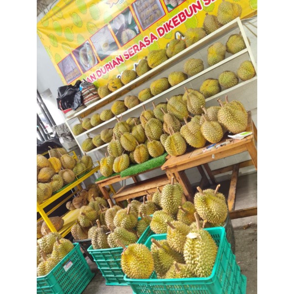 

Durian monthong utuh /bulat/fresh