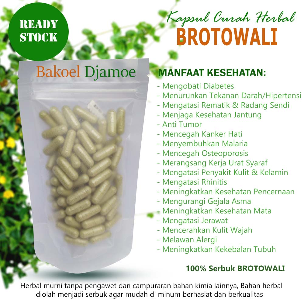 

Brotowali kapsul curah herbal brotowali kapsul herbal hipertensi rematik bisa cod