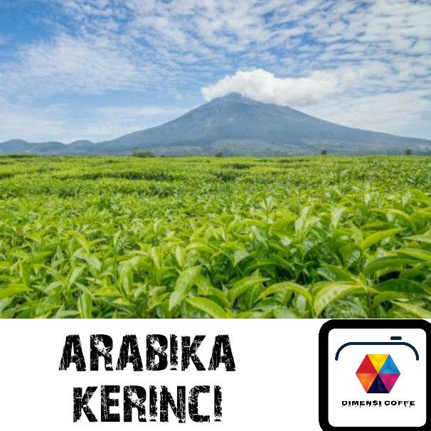 

green bean arabika kerinci biji mentah grade 1