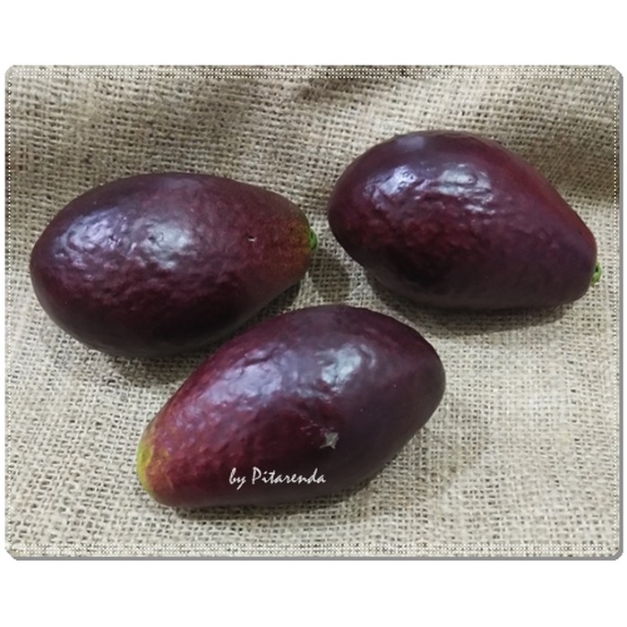 NEW PRODUK AFBH-14 : PAJANGAN BUAH ALPUKAT / ALPUKAT PALSU (PER BUAH)