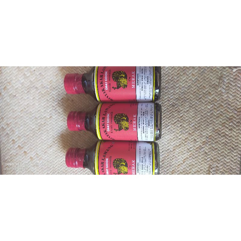 akar Lawang minyak akar Lawang minyak gosok akar lawak minyak pijat akar Lawang minyak urut akar