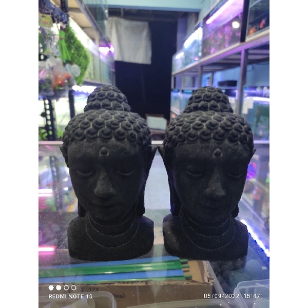 Hiasan Aquarium Patung Mini Aquarium Ikan Channa, Aquarium Ikan Predator, Aquarium Ikan Hias