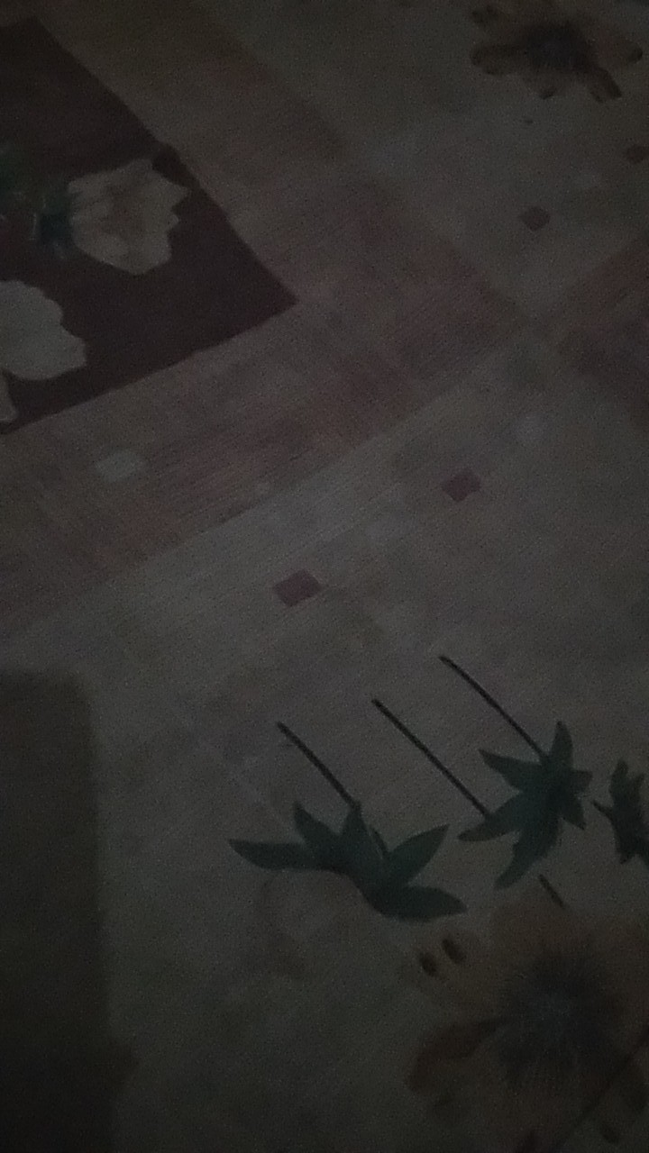 Kaos Lengan Panjang Motif Katun (premium) Adem Nyaman Ribb/kaos Tangan Panjang Ribb