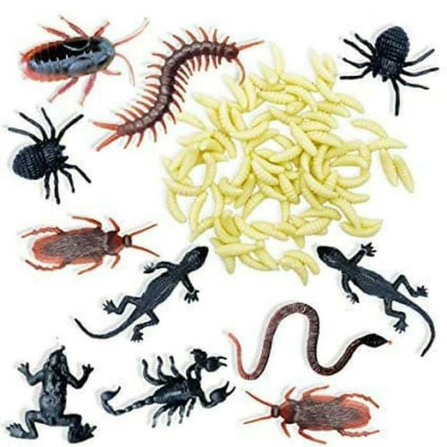 Mainan Unik Serangga Kumbang Buat Ngerjain Teman Shopee Indonesia