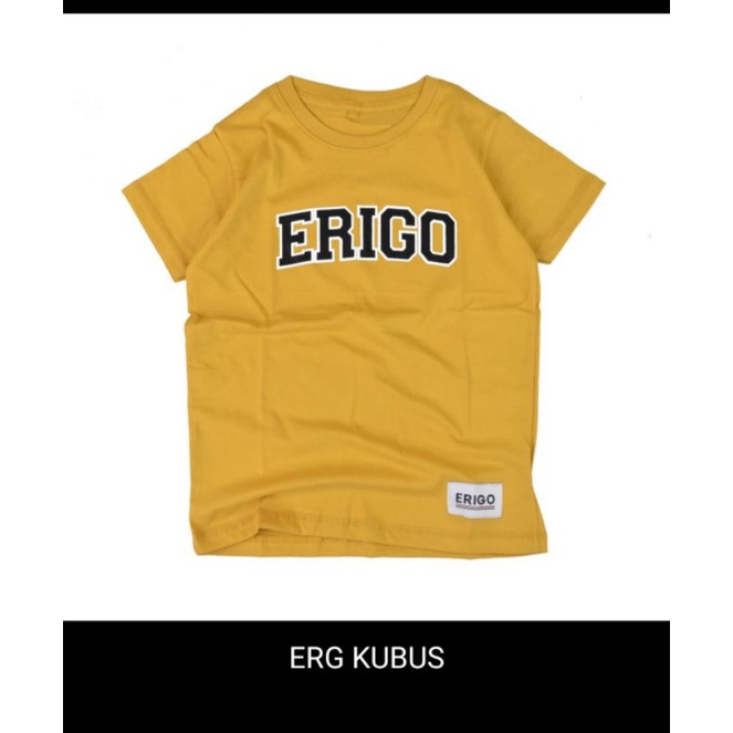 KAOS ANAK ERIGO, BAJU ANAK PREMIUM,KAOS ANAK DISTRO