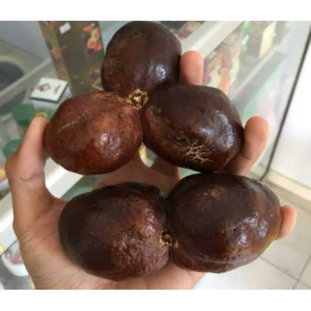 

Buah Zuriat