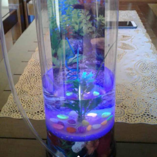 AQUARIUM MINI + MESIN AERATOR