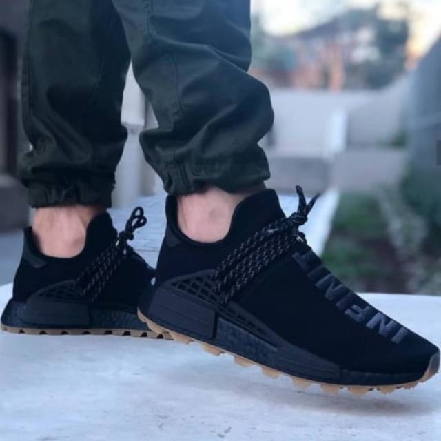 Sepatu Adidas NMD Human Race Infinity Species