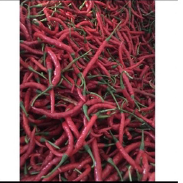 

Cabe keriting Merah 250gr