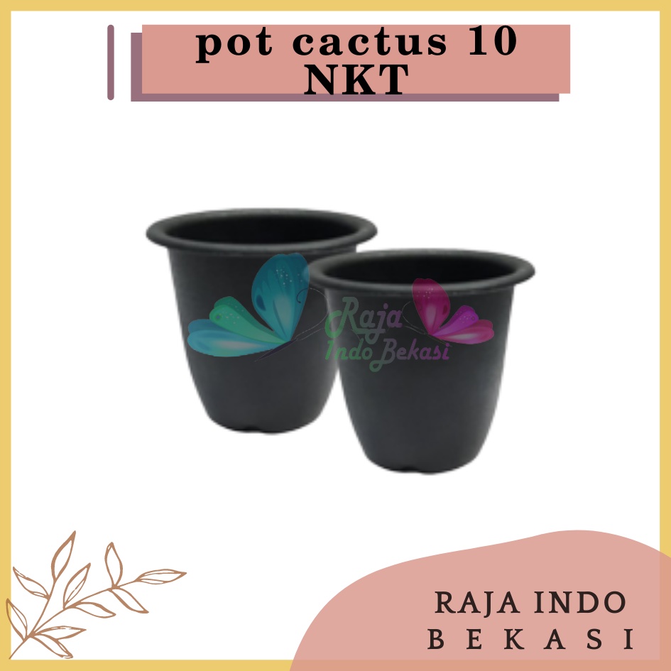 Pot Kaktus Nkt 10 Hitam Black Pot Cactus Nkt 10 Cm Black Hitam Pot Plastik Pink Bibit Kaktus Hitam