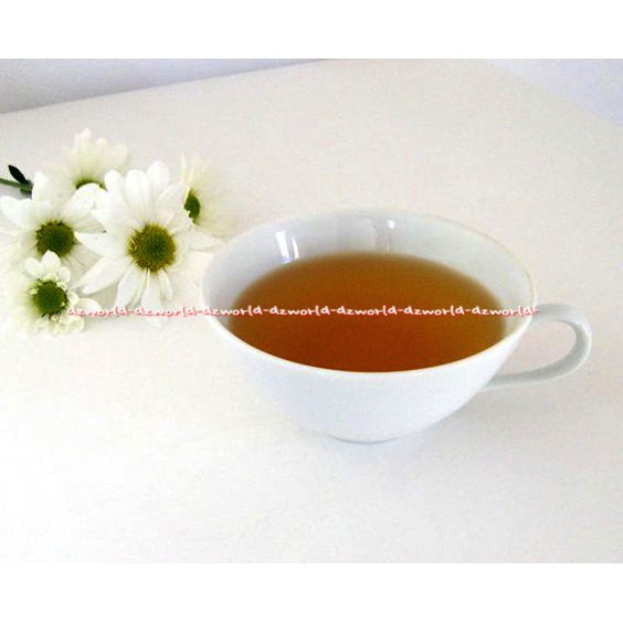 Prendjak Teh Hijau Celup 25 Kantong Green Tea Sachet Celup Prenjak