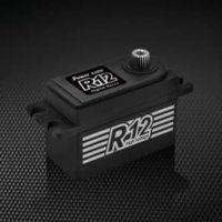 

Grosir POWER HD R12 DIGITAL SERVO HIGH VOLTAGE hantoys shopee