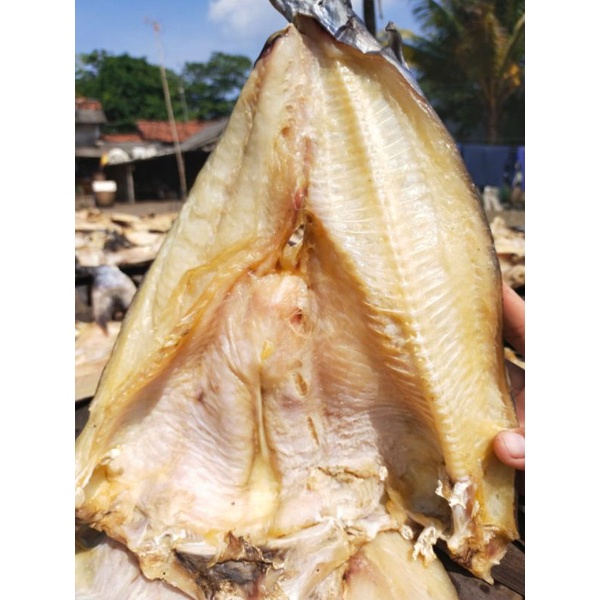

ikan asin jambal roti super ngeprul 500gram
