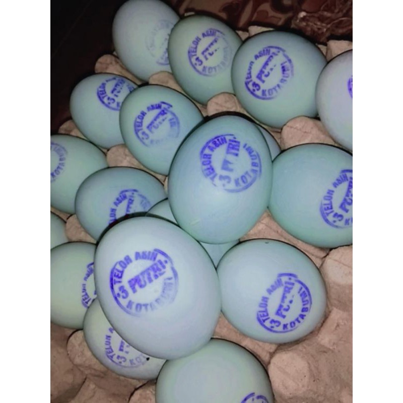 

Telur Asin Cap 3 putri