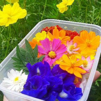 

Edible Flowers Mix 50 Pcs