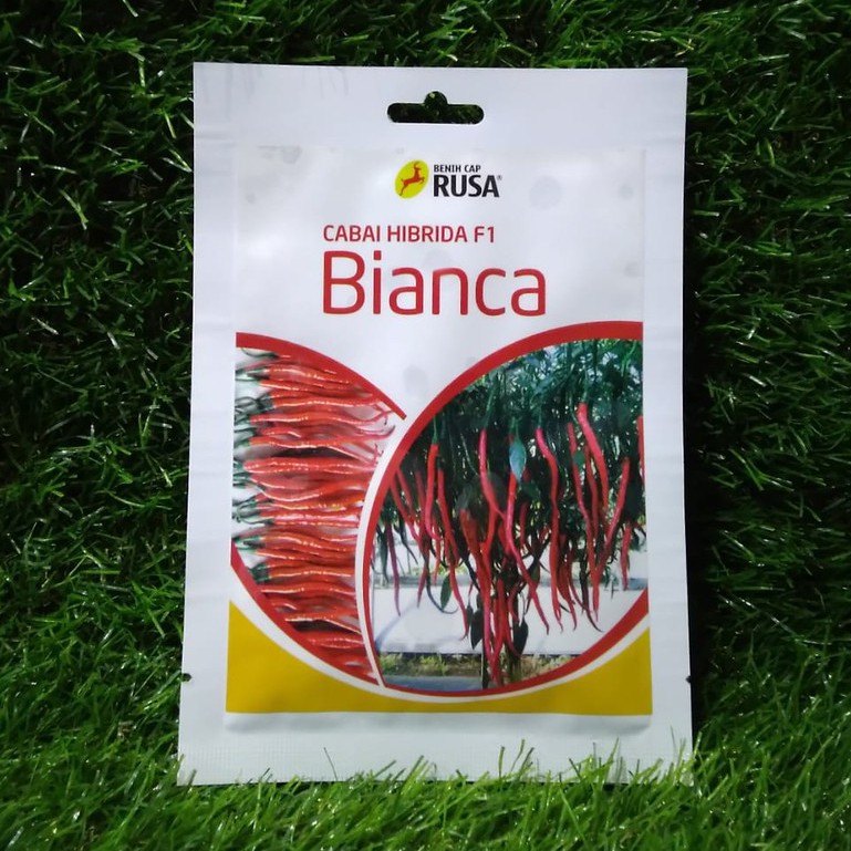 Benih Bibit  Cabai  Cabe Keriting Bianca 10gr/cabai hibrida f1/benih cap rusa