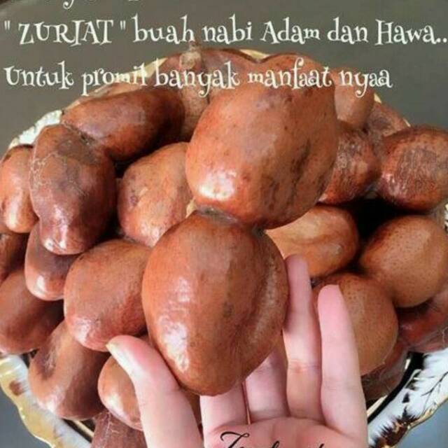 

Buah Zuriat Super viral hamil (PROMIL) suami istri