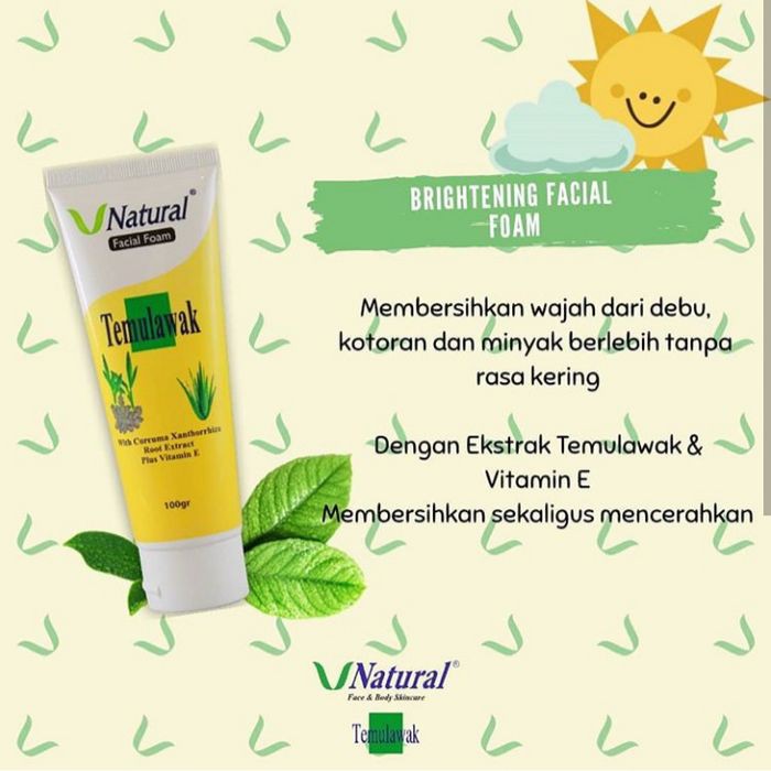 [PERPC] CLEANSER TEMULAWAK V NATURAL / FACIAL FOAM TEMULAWAK /ORIGINAL