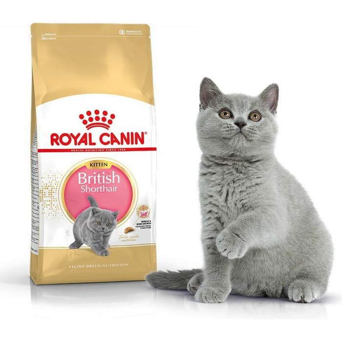 MAKANAN KUCING ROYAL CANIN KITTEN BRITISH SHORTHAIR 400GR