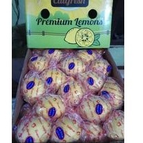 

Lemon Import 1kg