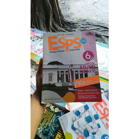 ESPS PPKN KELAS 6 (KTSP)