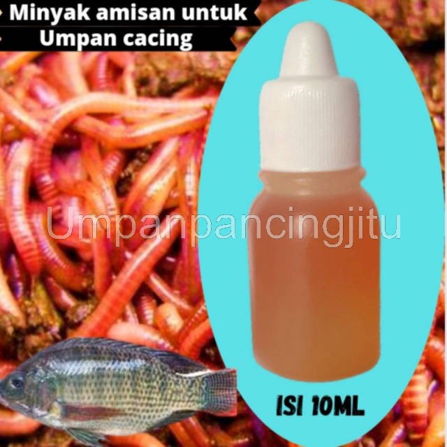 essen ikan nila umpan cacing paling jitu minyak toman penambah aroma amis mancing ikan nila bawal pa