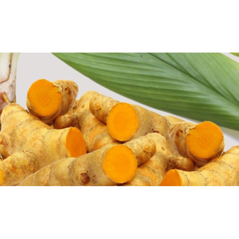 

KUNYIT/ KUNIR ALAMI 2gr -250gr