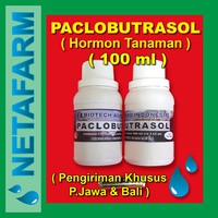 Hormon Paclobutrasol - 100ml