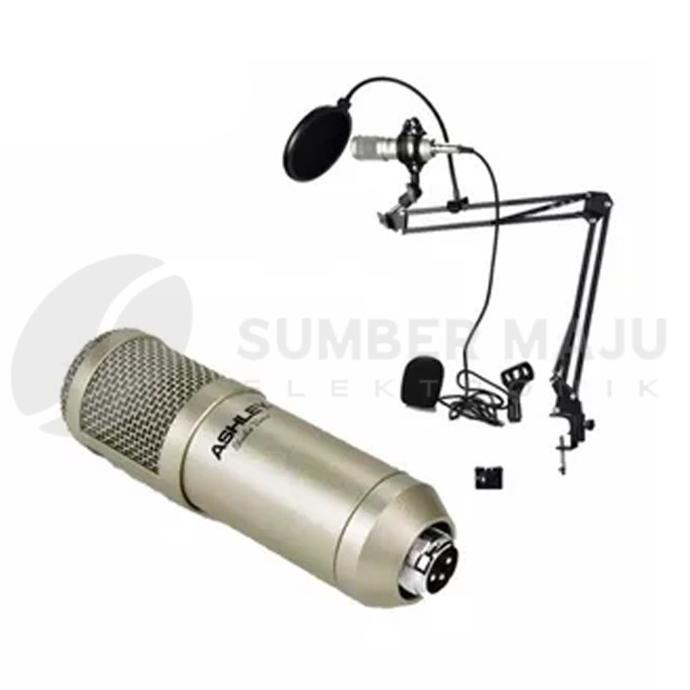 Professional Condenser Mic Ashley Studio Voice .