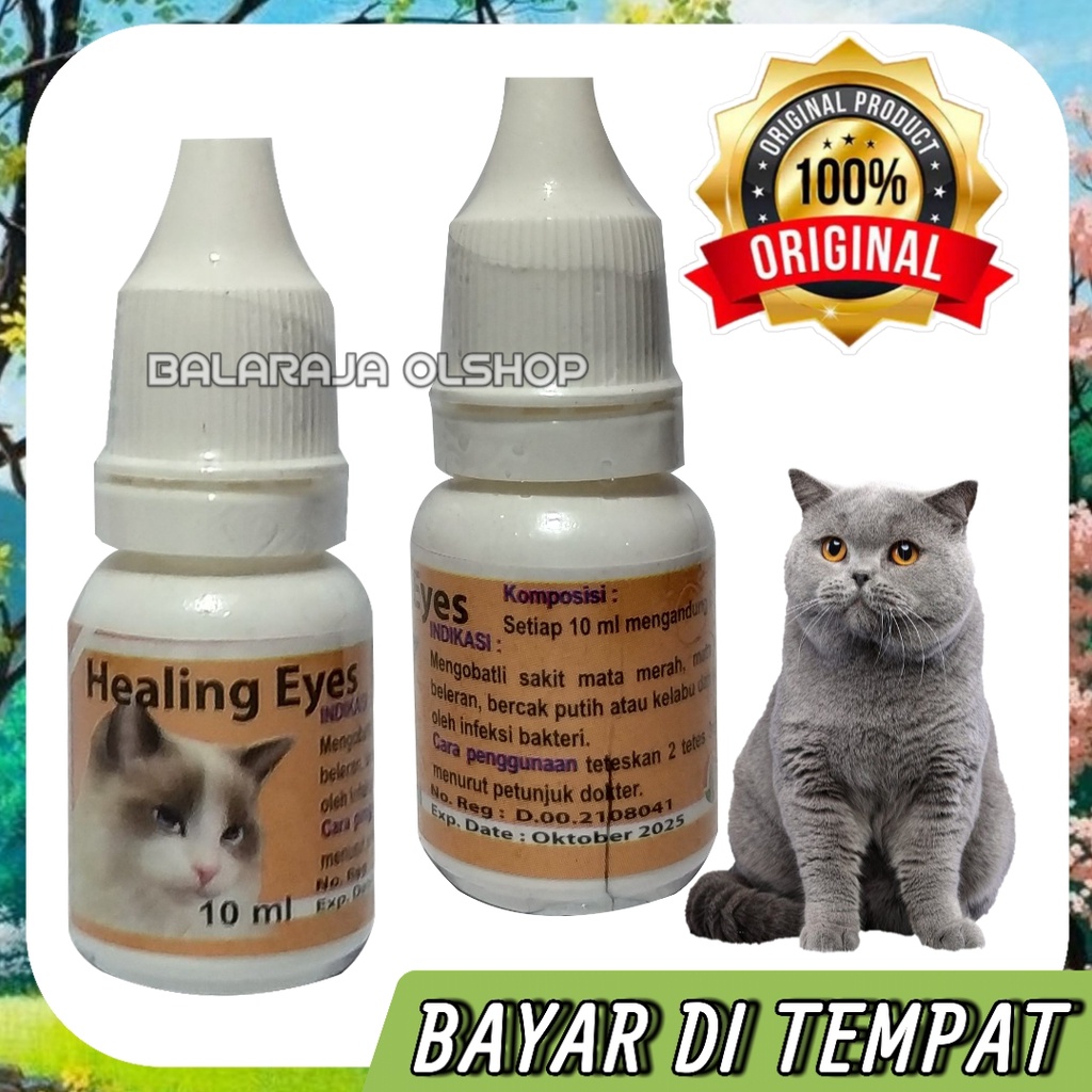 OBAT MATA KUCING SAKIT BENGKAK MERAH BELEK BERCAK PUTIH HEALING EYES CAT