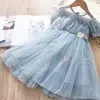Gaun anak - gadis gaun tulle renda pink biru kupu-kupu pakaian anak-anak mewah gaun anak-anak