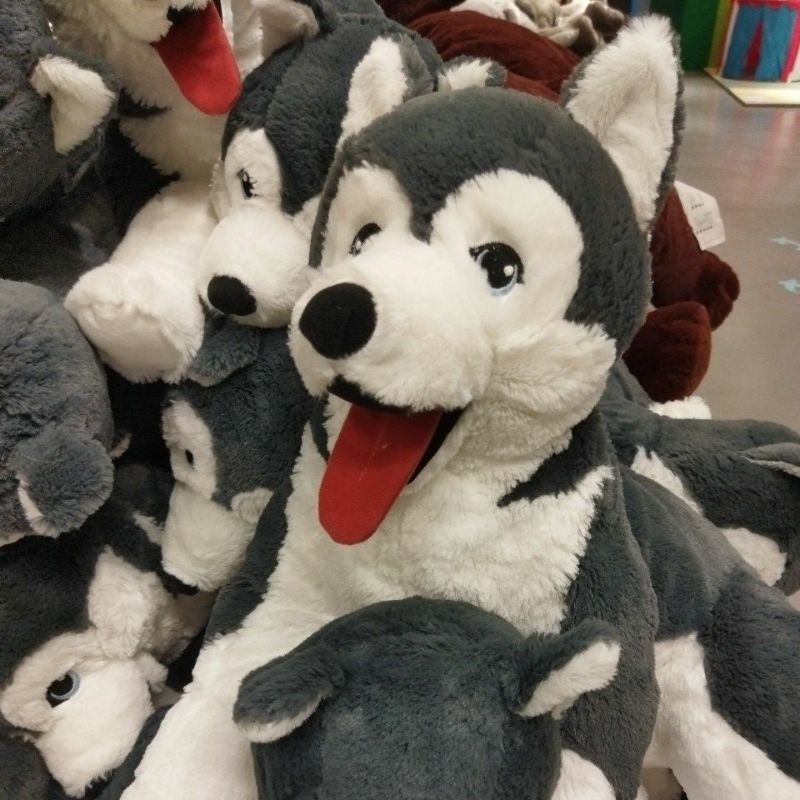 Boneka Anjing Lembut Siberian Husky 57cm