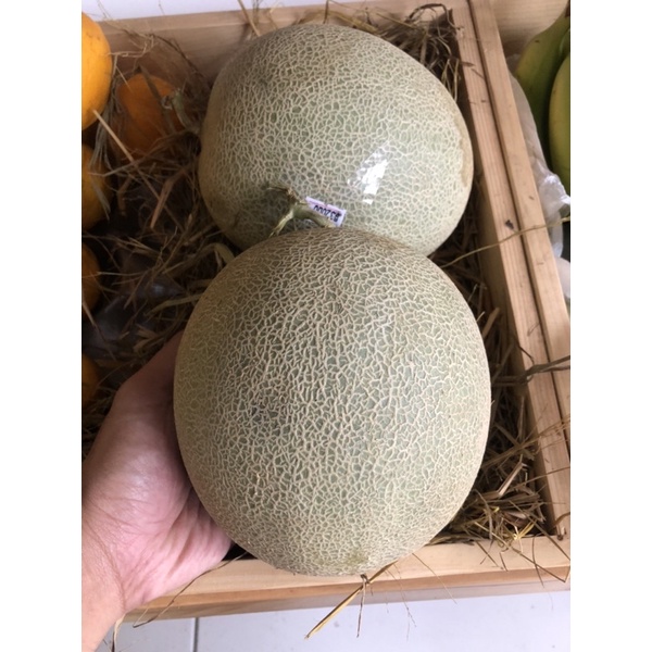 

Melon Orange (Rocket) 1 Buah
