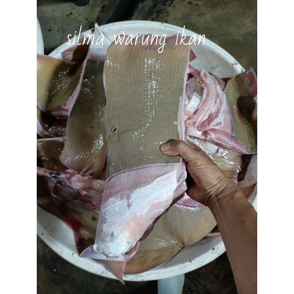 

daging ikan pari segar harian super josss 1kg