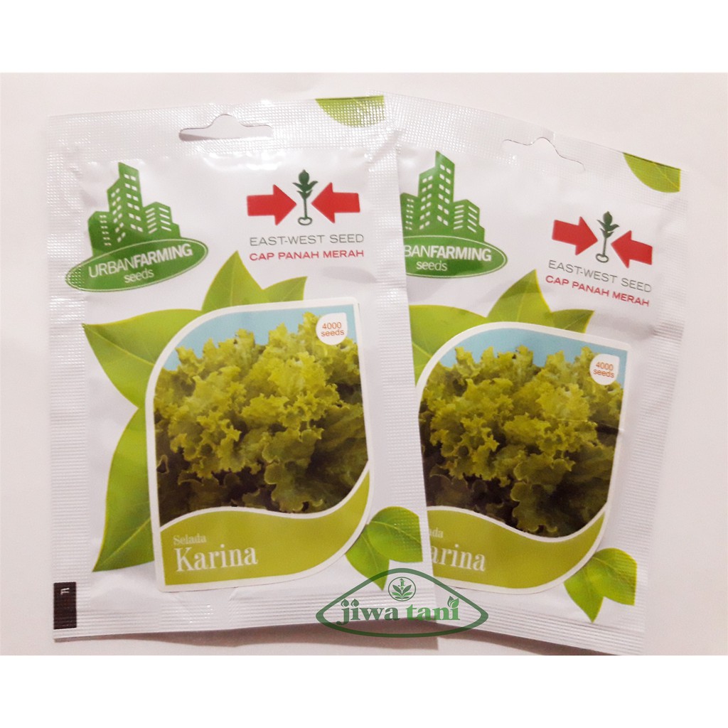 Benih Selada Hijau Karina Cap Panah Merah