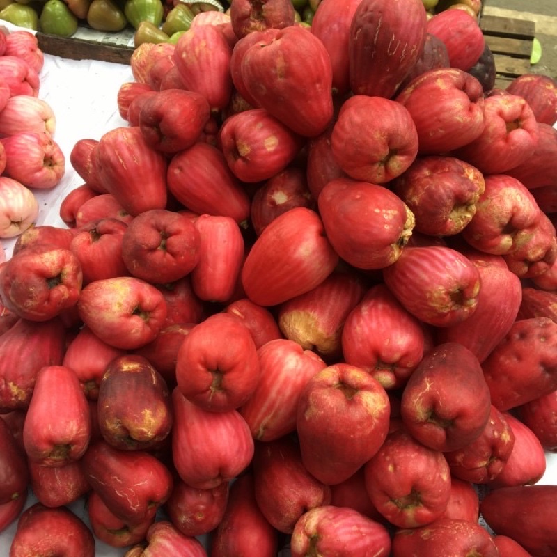 Jambu Bol Online: Manisnya Bisnis Buah Segar di Era Digital