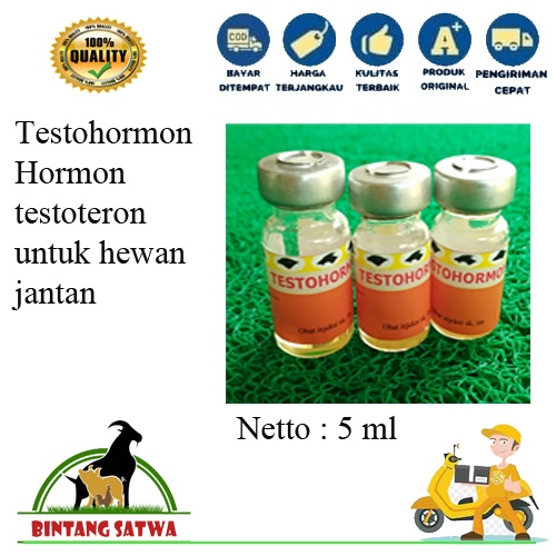Testohormon 5 ml