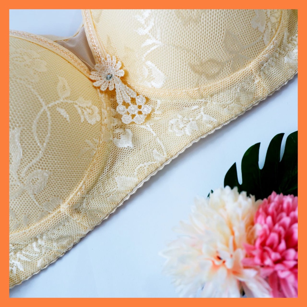 BH Bra Beha Kutang Wanita Dewasa Jumbo Big Size 40 42 44 46 Dengan Busa Kawat
