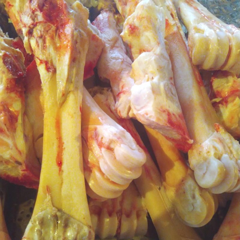 

Tulang Sumsum Kaki