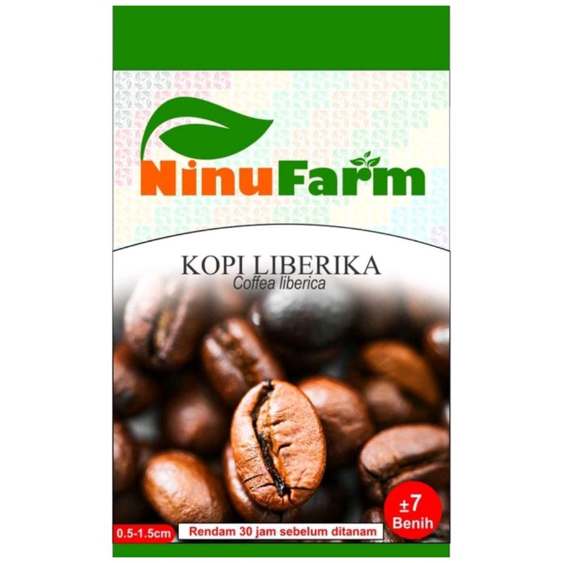 Benih Kopi Liberika / Bibit Kopi Liberika Bibit Tanaman Biji Kopi