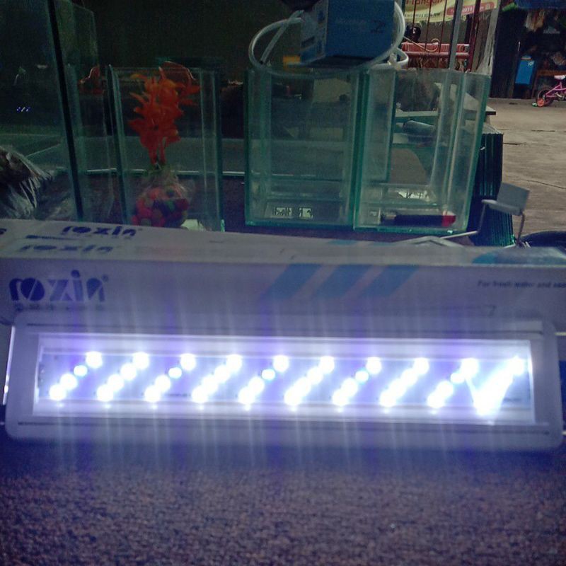 Lampu Aquarium Roxin LED 20-30CM